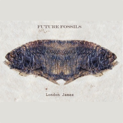 Future Fossils
