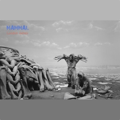 Mammal