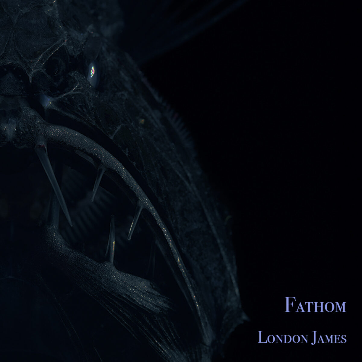 Fathom